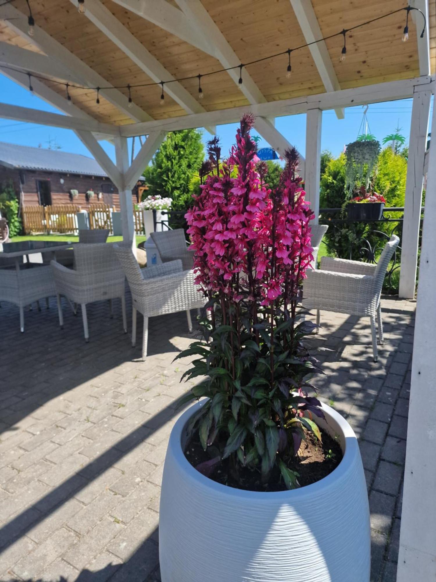 Villa Dolce Vita Łeba Esterno foto